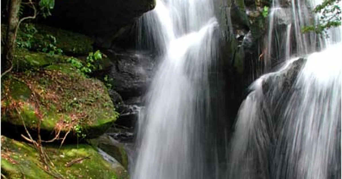 Dismals Canyon Trail