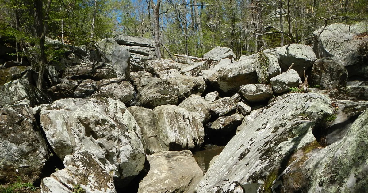Dixon Springs State Park Trail