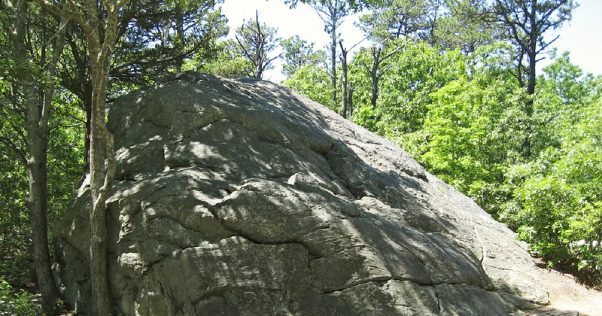Doane Rock Trail at Cape Cod