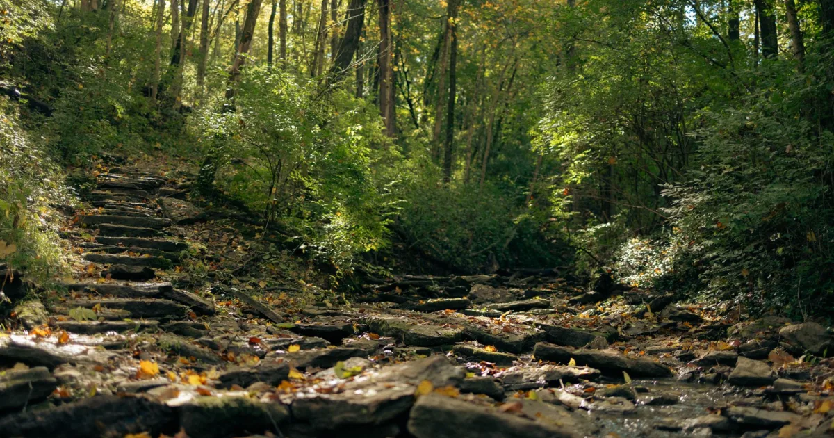 Dog Slaughter Falls: A Perfect Swimming Hole in Daniel Boone National Forest