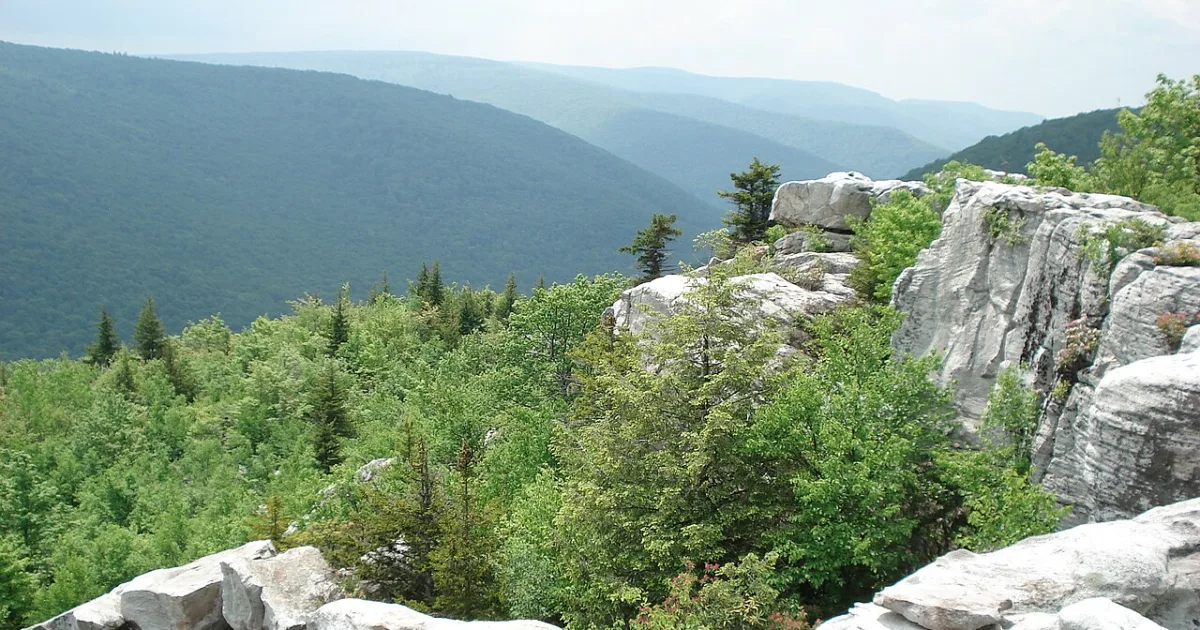 Dolly Sods Wilderness — Red Creek Trail