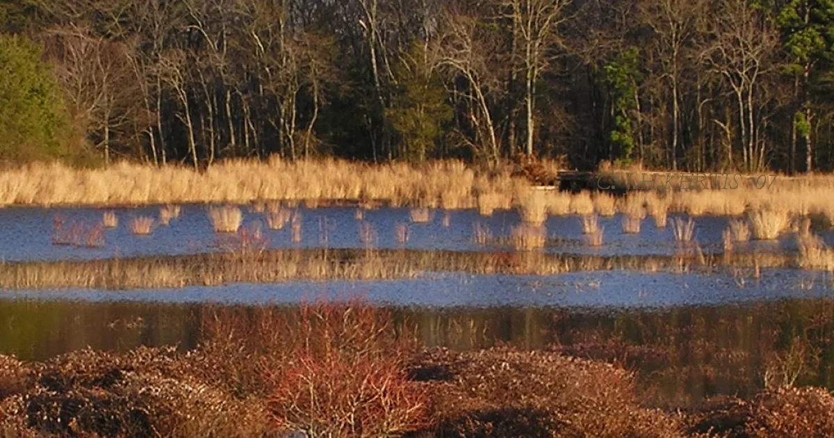 Double Trouble State Park Trail