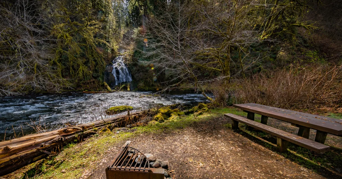 Drift Creek Falls Trail