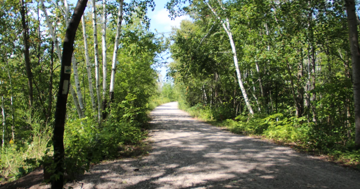 Duluth Lakewalk
