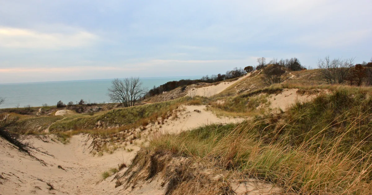 Dunes State Park MTB Connector