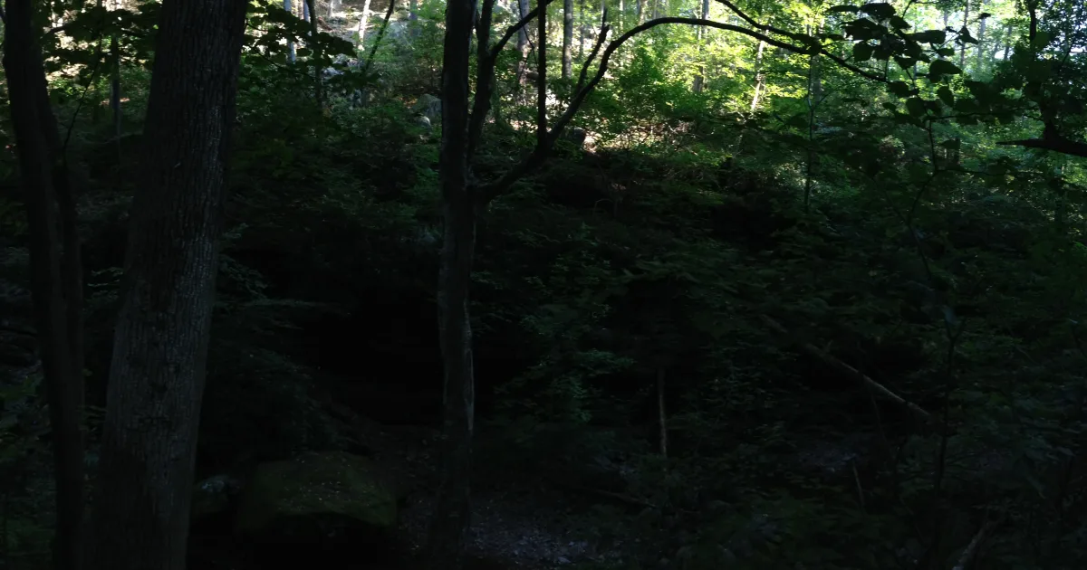 Dunnfield Creek to Sunfish Pond — Delaware Water Gap, New Jersey