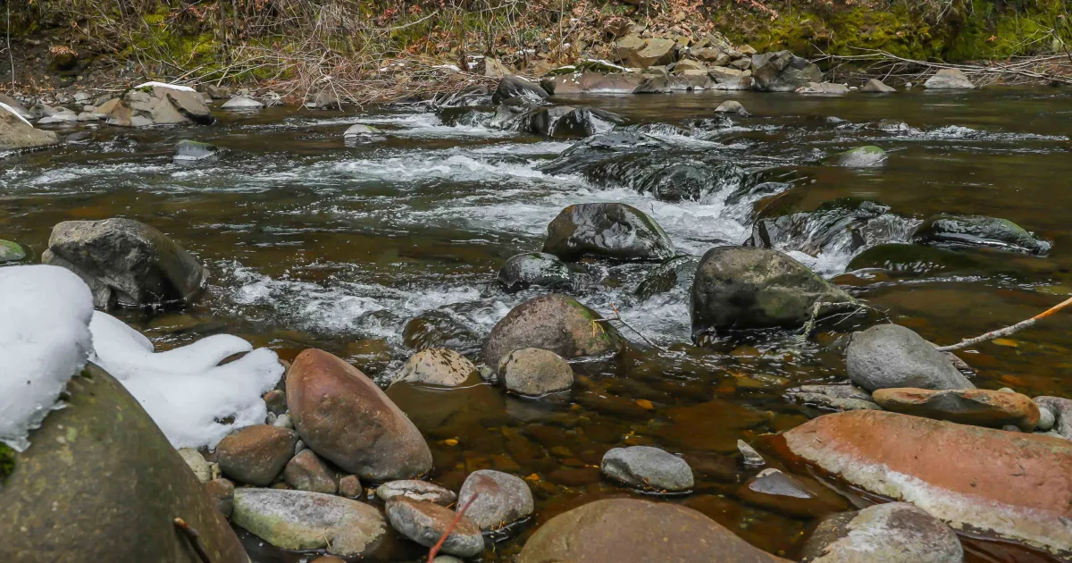 East Fork State Park Trail