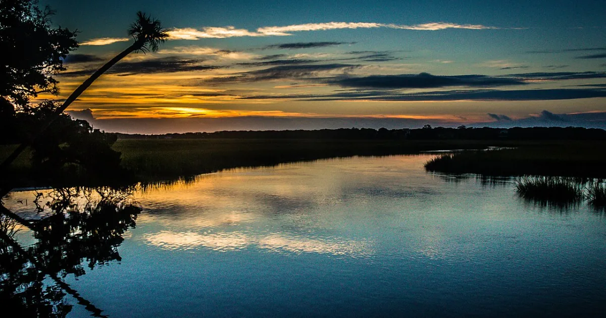 Edisto Beach Forest Trail — Edisto Beach State Park, SC