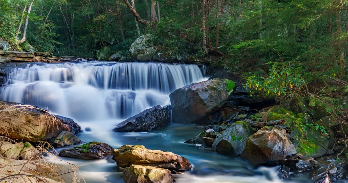 Elakala Falls: Four Cascades Hidden Inside Blackwater Falls State Park