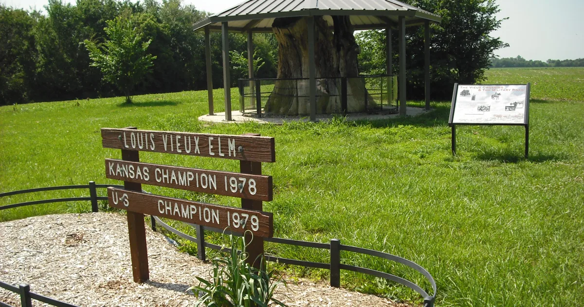 Elm Creek Park Reserve