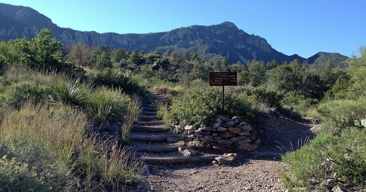 Emory Peak Trail