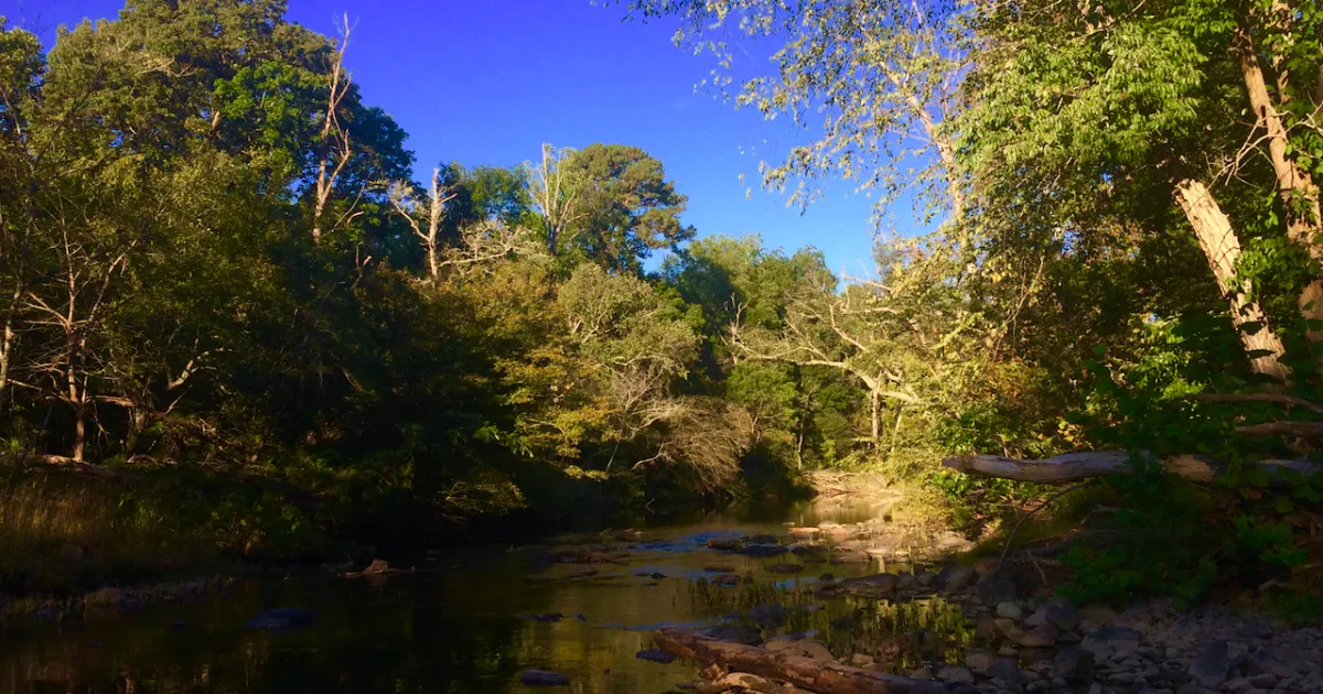 Eno River Trail — Eno River State Park, NC
