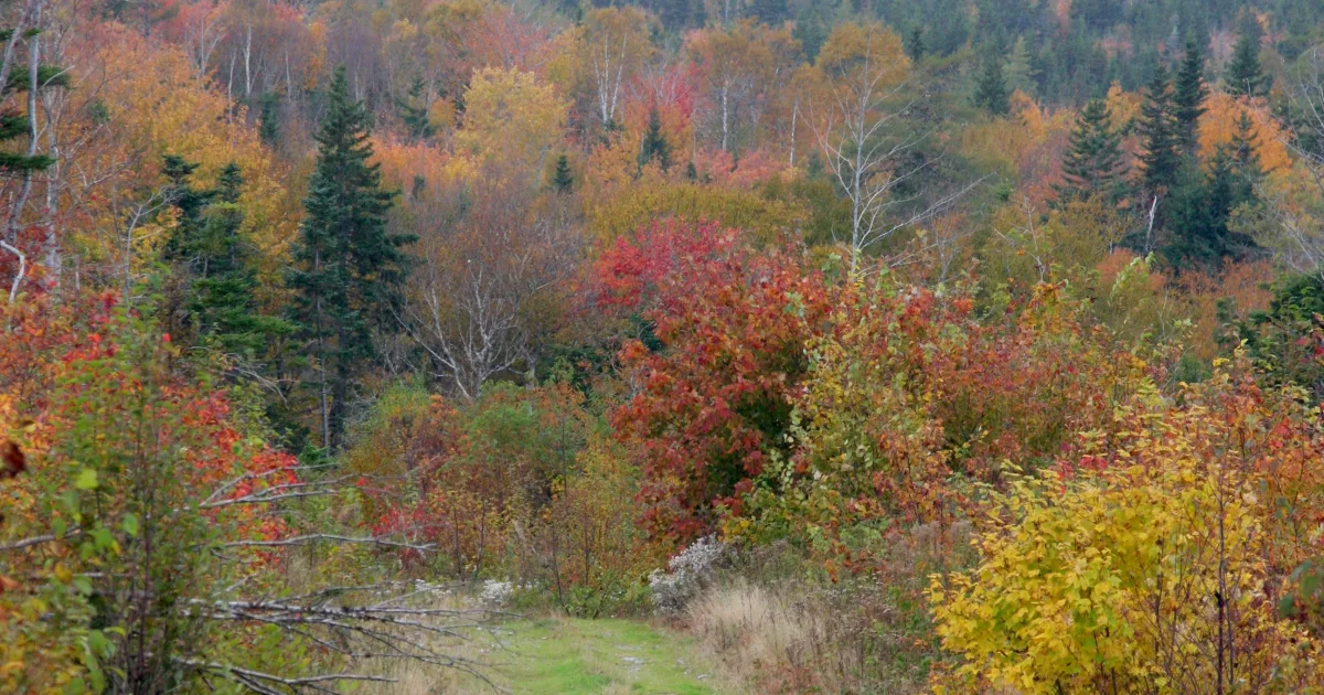 Falls of Hills Creek: Three Waterfalls in One Spectacular Trail