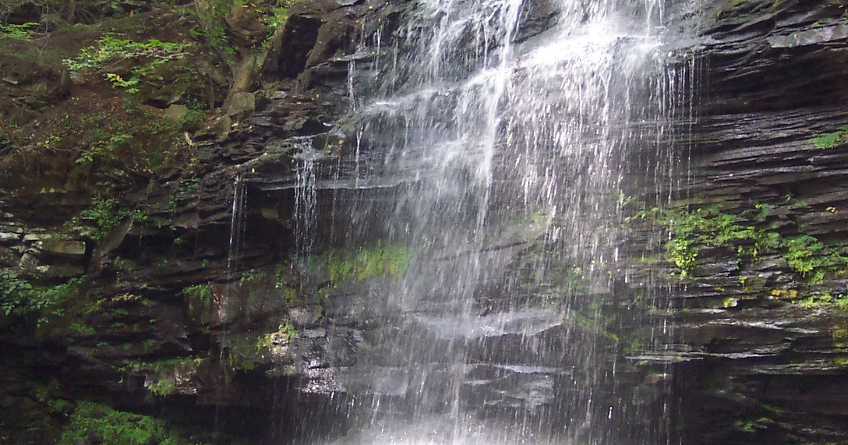 Falls Trail — Ricketts Glen State Park, Pennsylvania