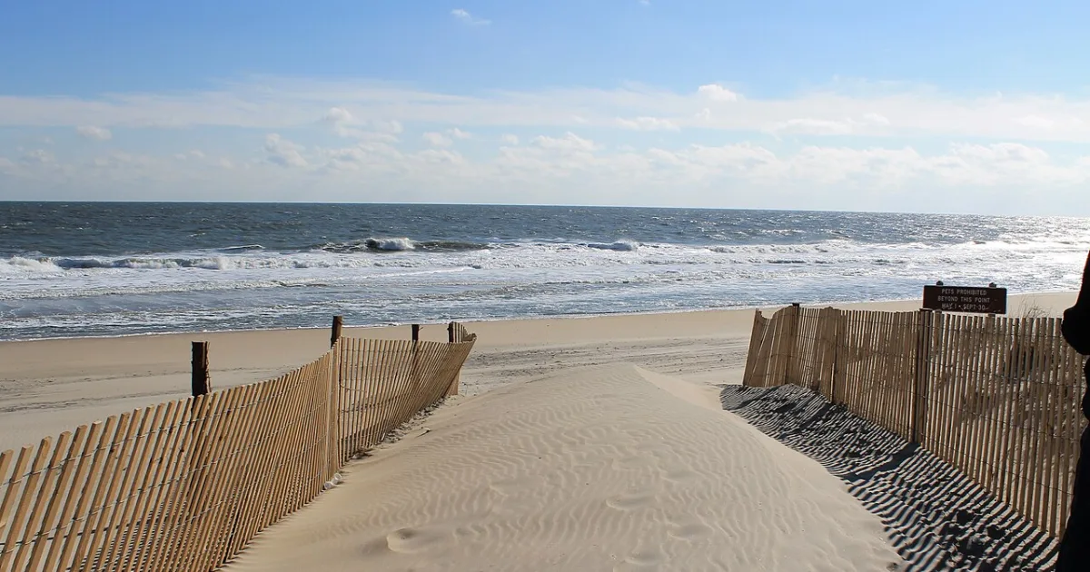 Fenwick Island State Park Trail