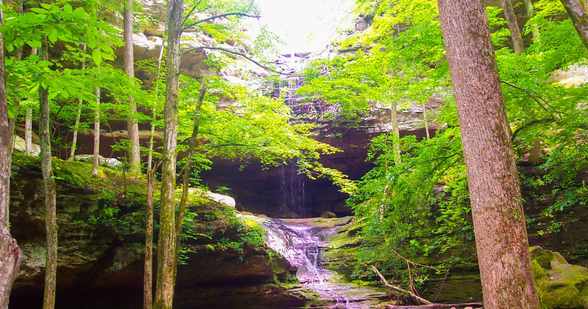 Ferne Clyffe Waterfall Canyon