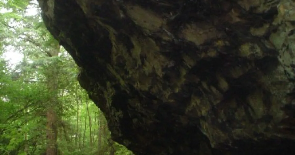 Fiery Gizzard Trail — South Cumberland SP, TN