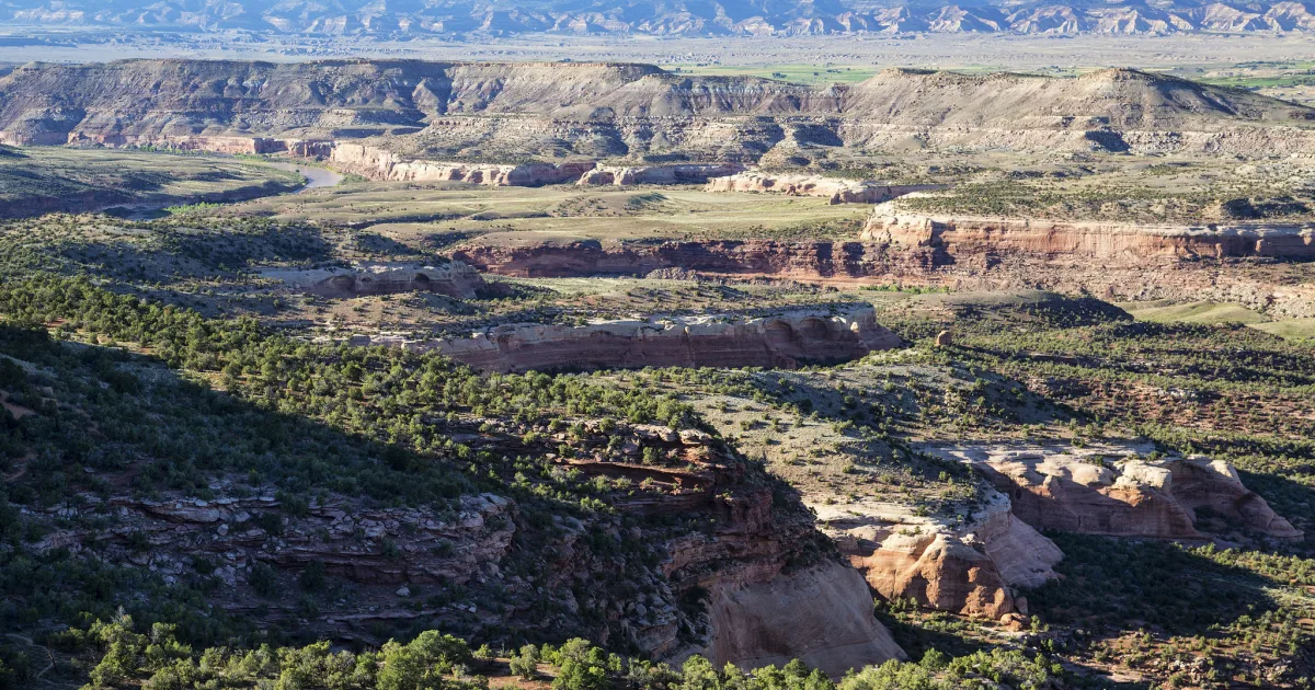Five Runs Loop Trail
