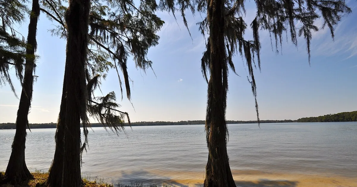Florala State Park Trail