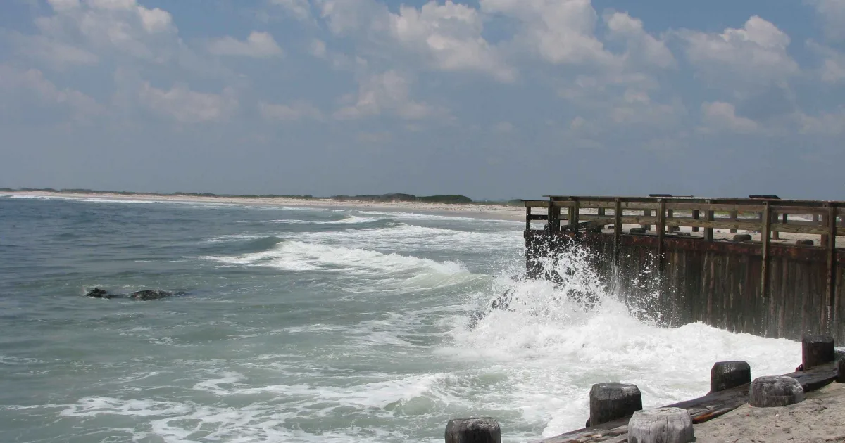Edwin B. Forsythe National Wildlife Refuge Trail