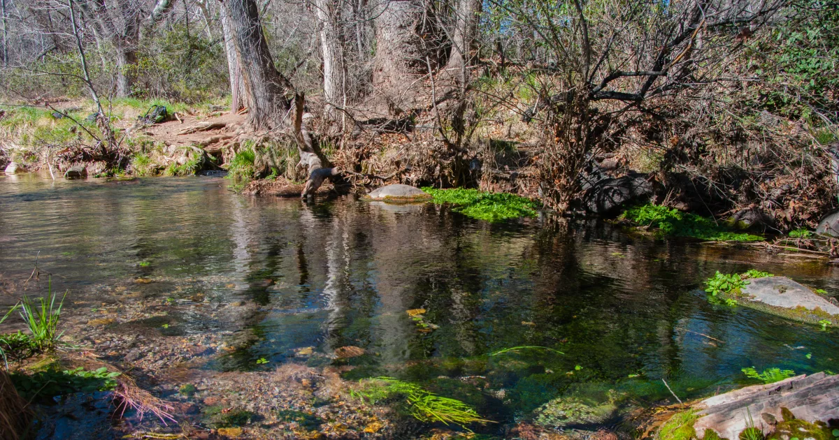 Fossil Springs Trail