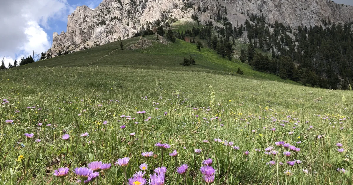 Gallatin Canyon: Lava Lake Trail — Bozeman, Montana