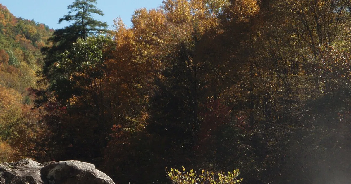 Gauley River Trail