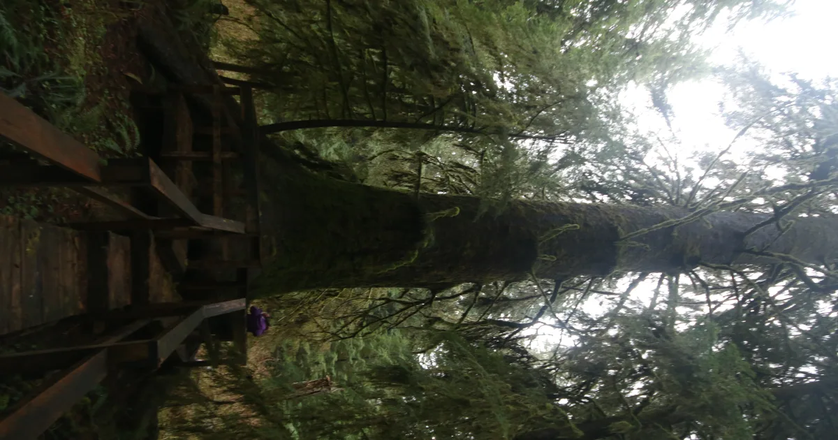 Gavan Hill Trail