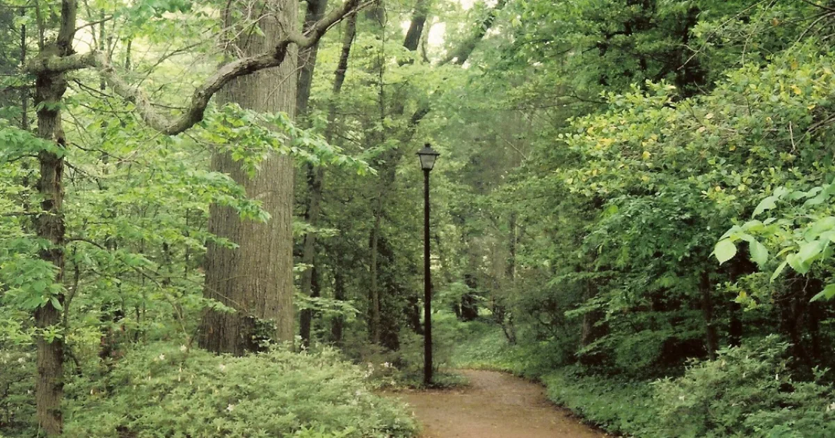 George Washington Memorial Forest Loop — Burrillville, Rhode Island