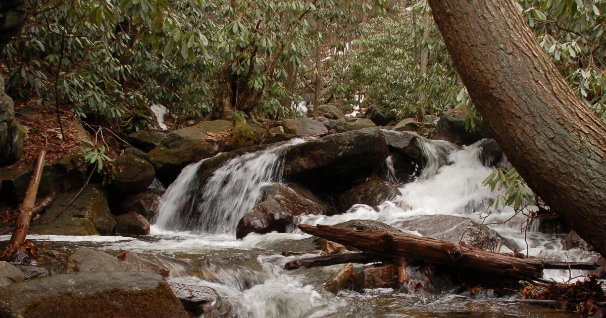 Glen Onoko Falls Trail