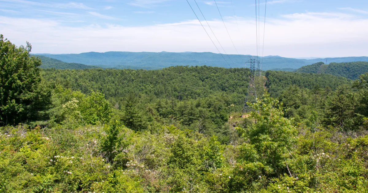 Gorges State Park – Grassy Ridge — Gorges State Park, NC