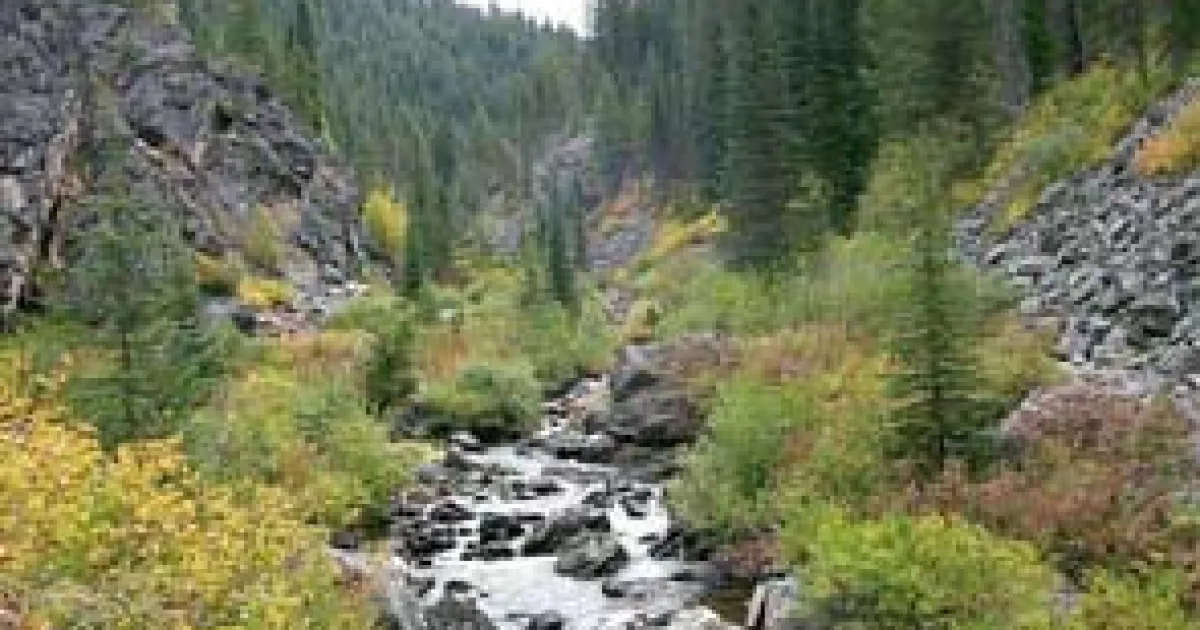 Gospel Hump Wilderness Trail