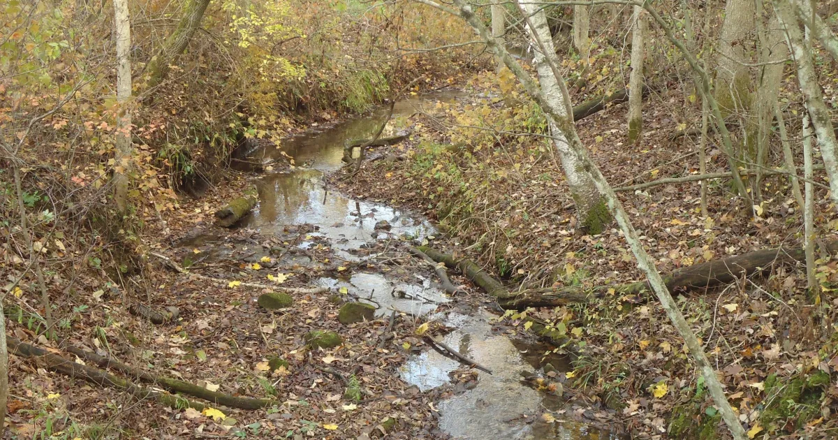 Governor Dodge State Park Waterfall Trail