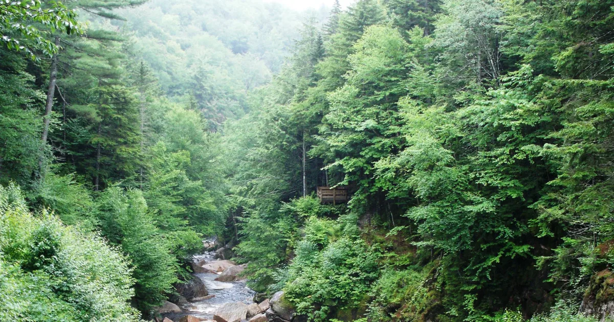 Grafton Notch — Table Rock Trail