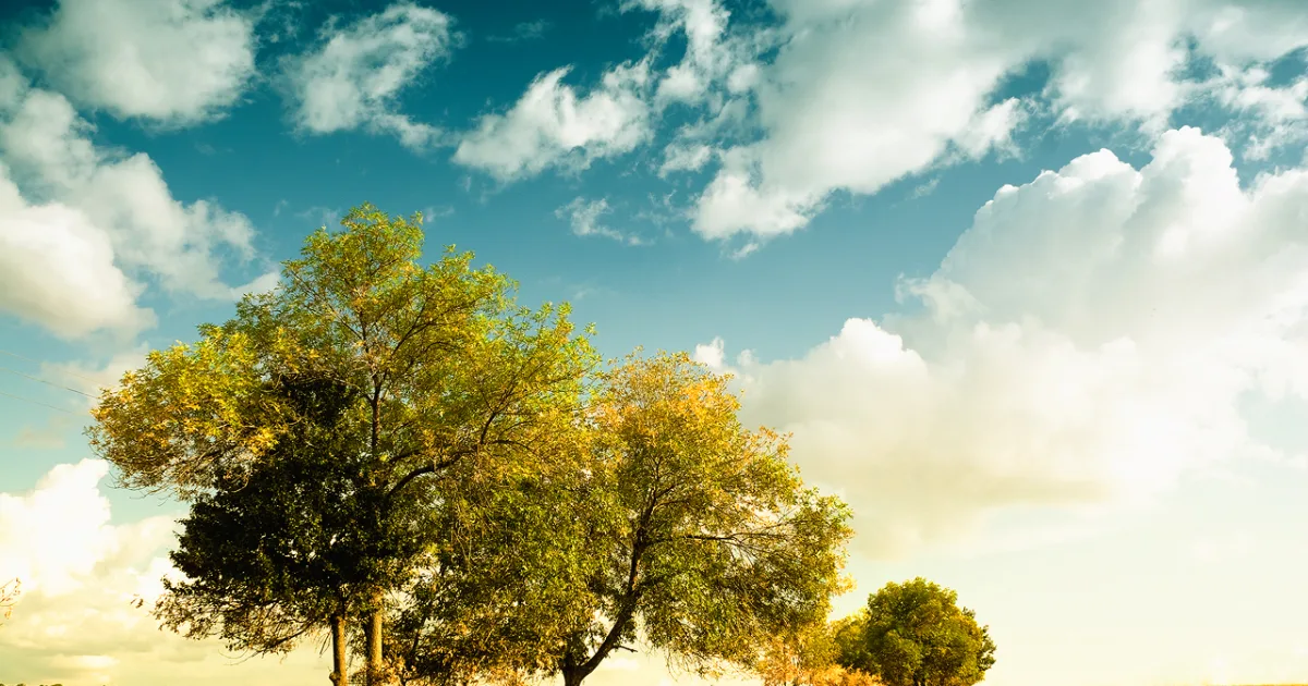 Grant Wood Scenic Trail