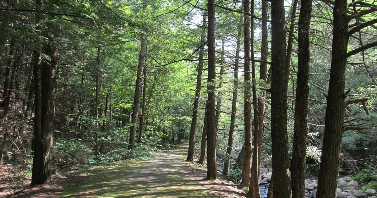 Granville State Forest Trail