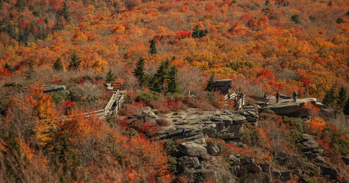 Graveyard Fields Falls: Two Waterfalls Above 5,000 Feet on the Parkway