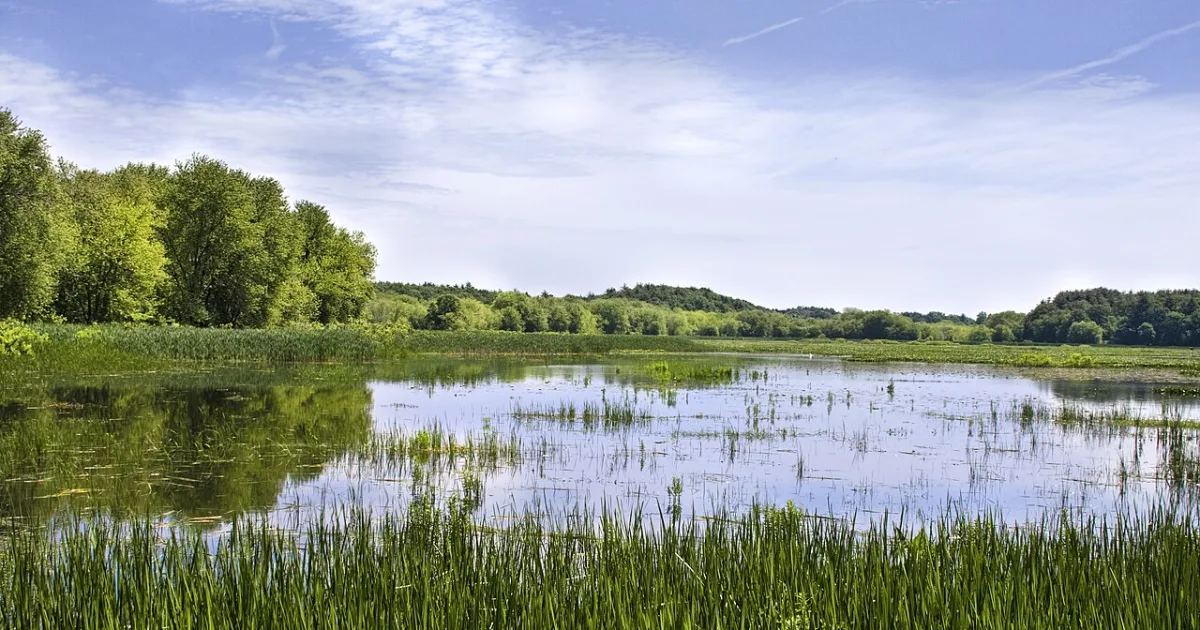 Great Meadows National Wildlife Refuge Trail