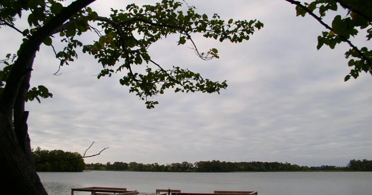 Greenleaf State Park Trail