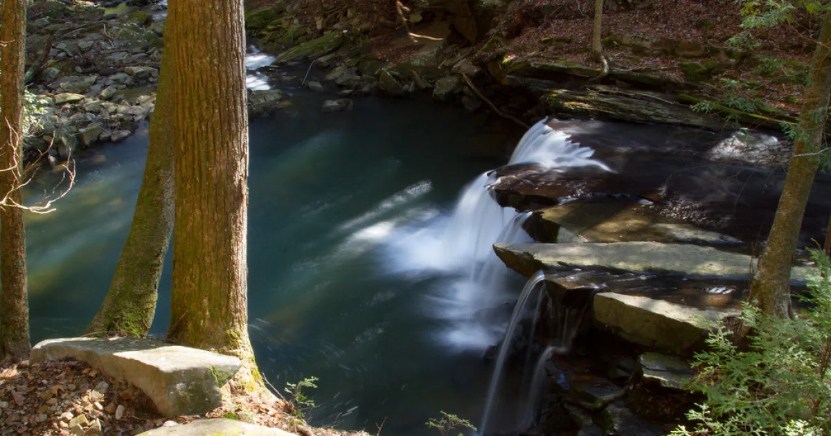 Grundy Forest Day Loop — South Cumberland SP, TN