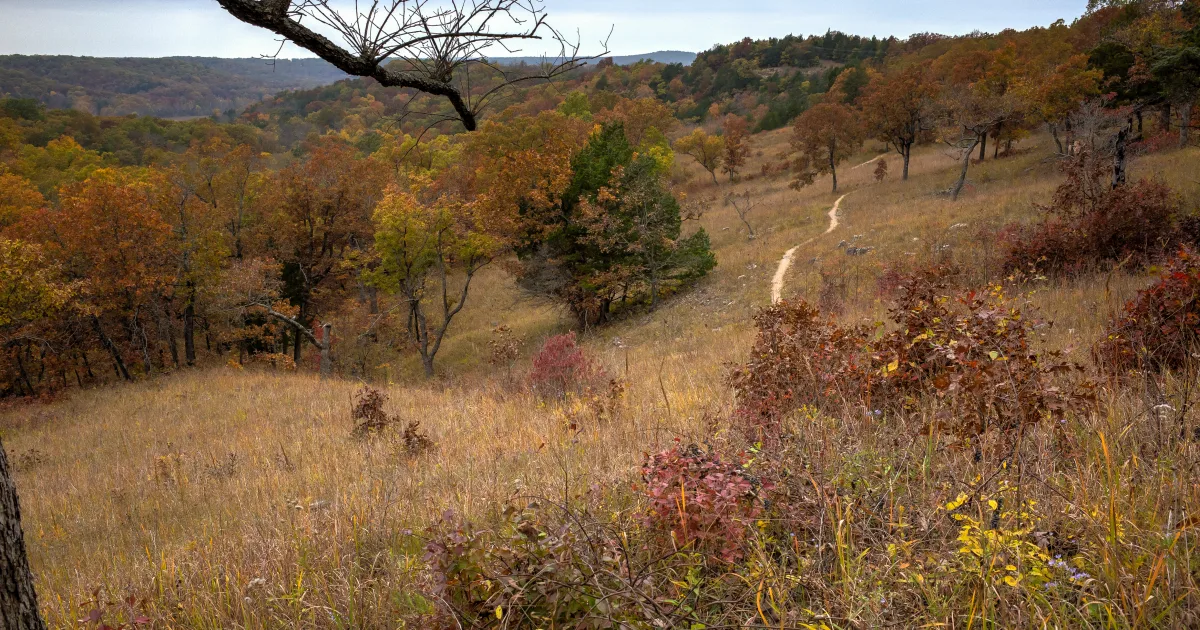 Ha Ha Tonka Castle Ruins Loop
