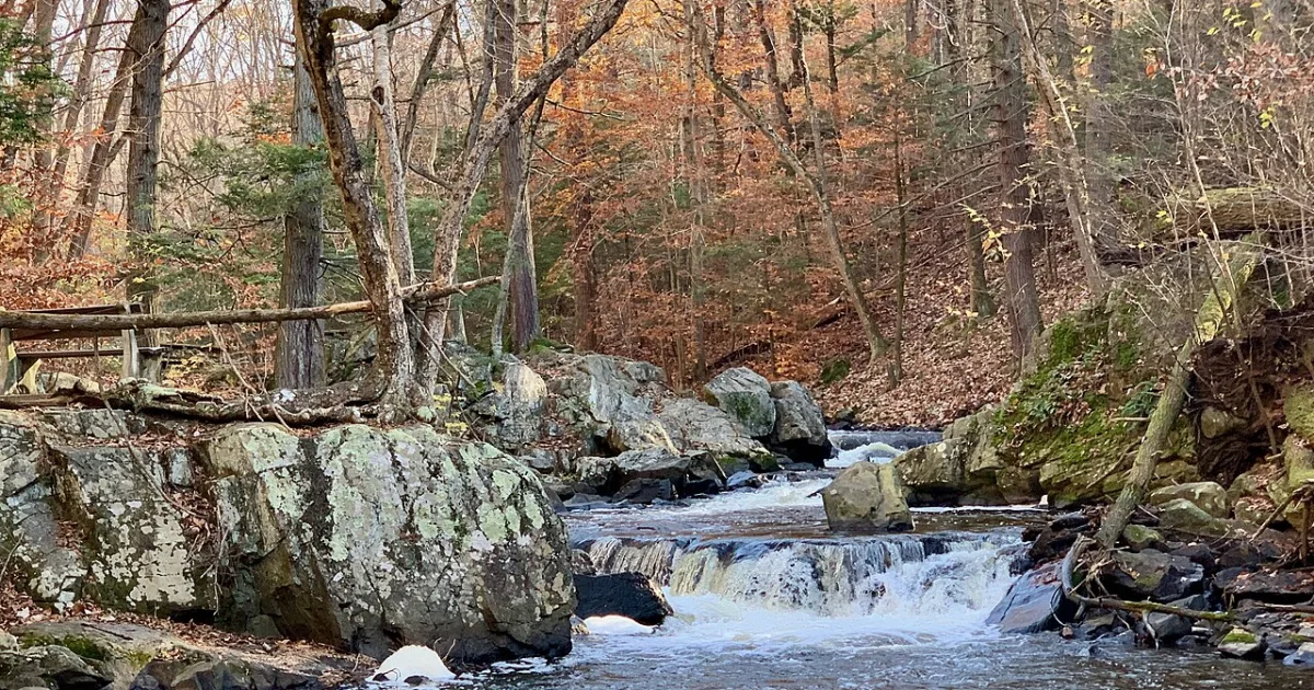 Hacklebarney State Park Trail