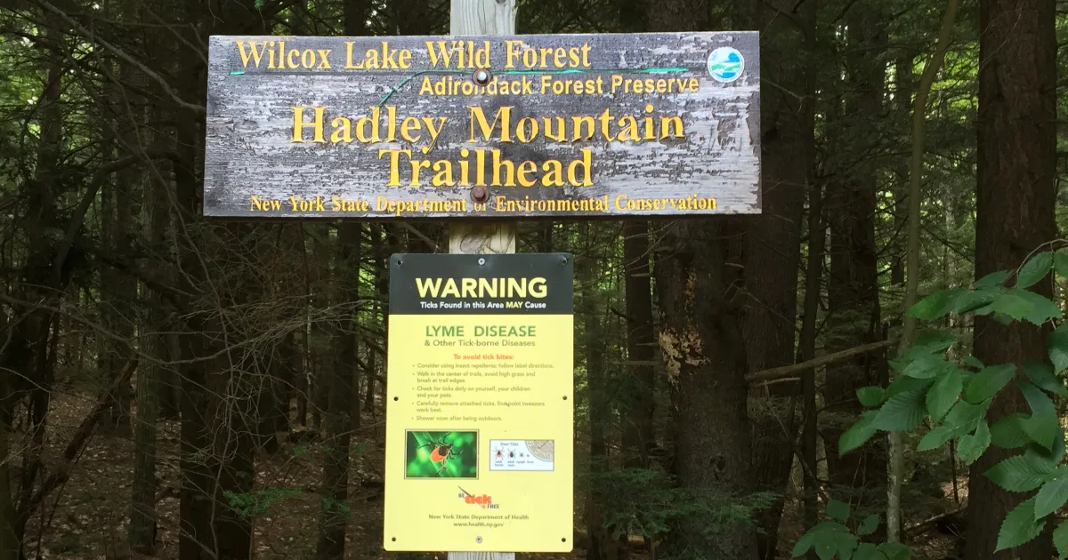 Hadley Mountain Fire Tower