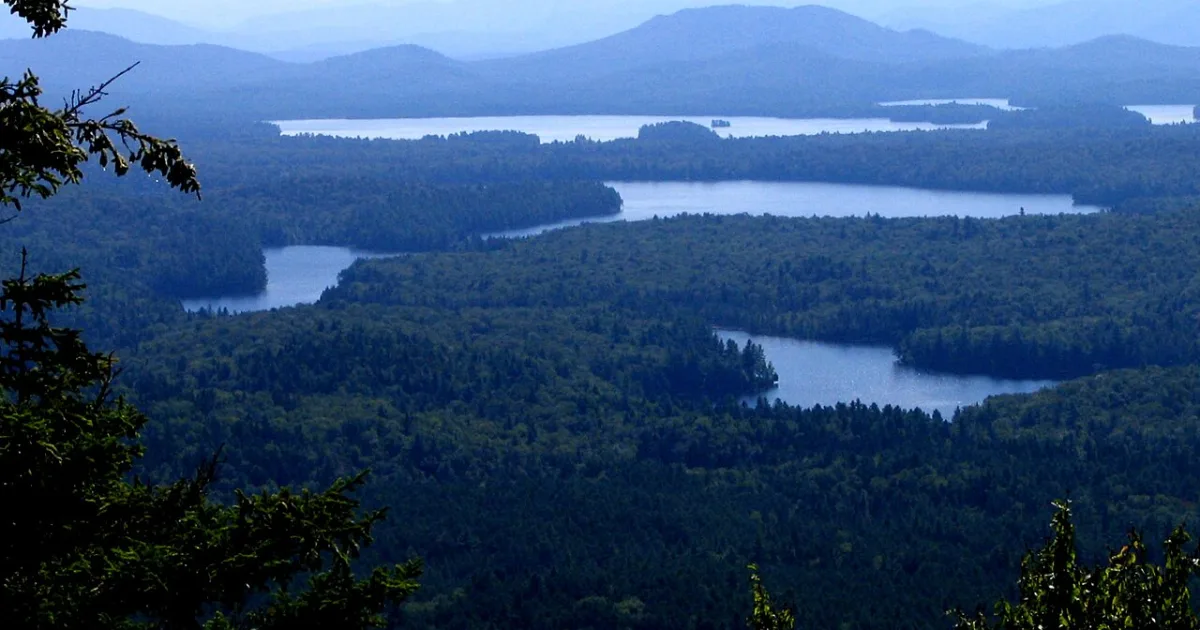 Hanging Dog — Adirondacks