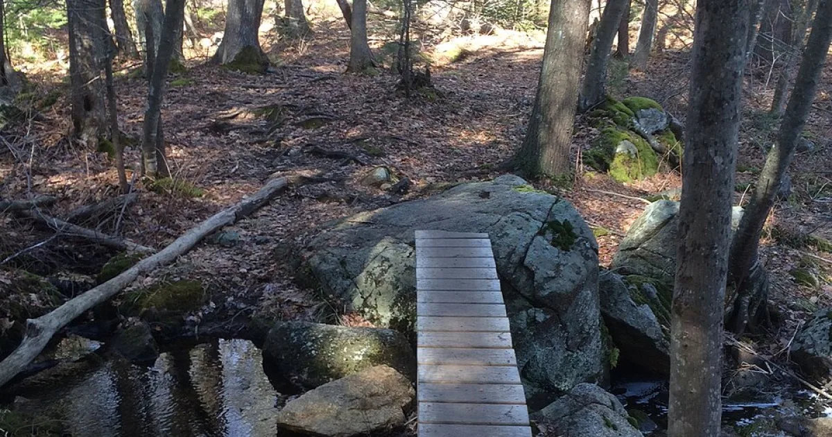 Harold Parker State Forest Trail