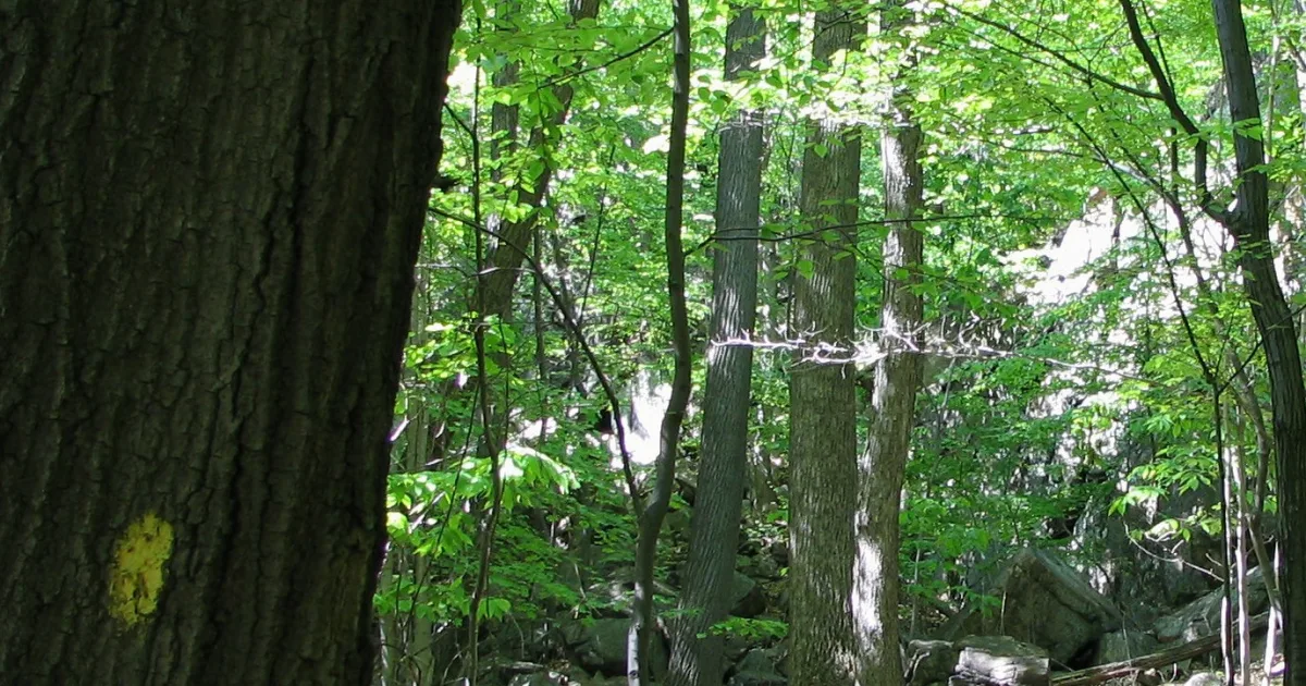 Harriman State Park MTB — Tuxedo, New York