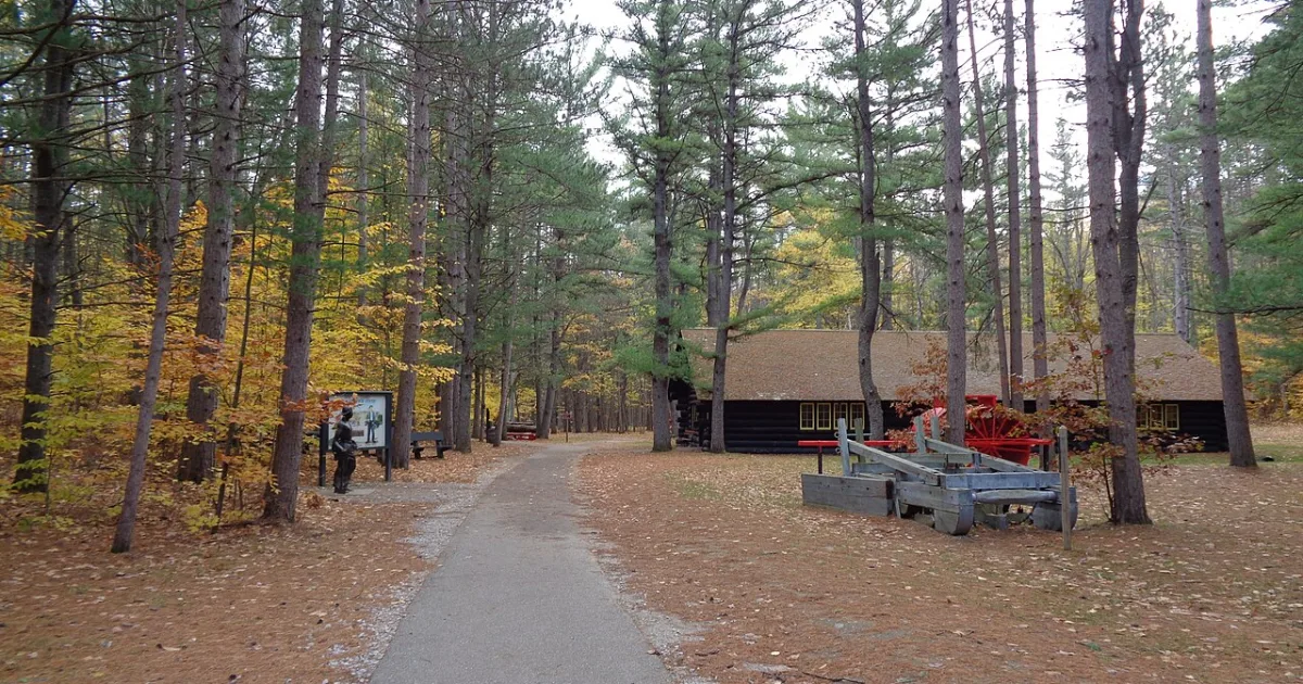 Hartwick Pines Loop