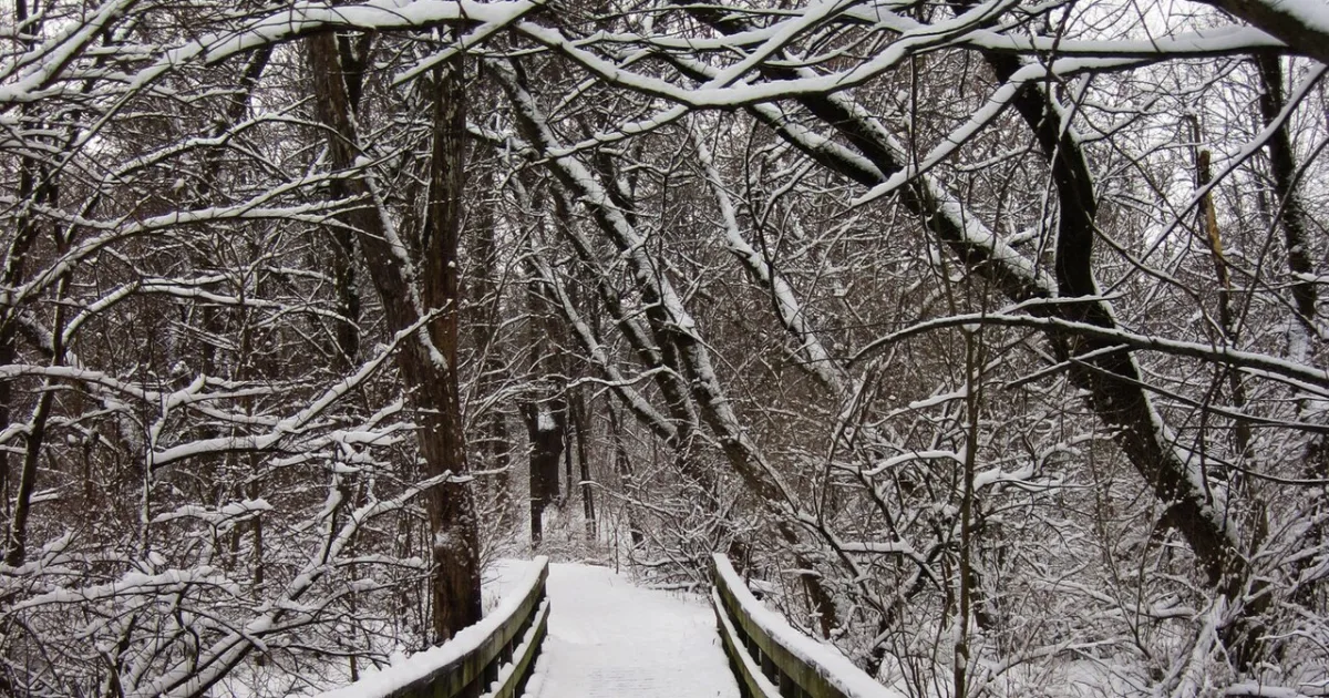 Hickory Hill Park Trail