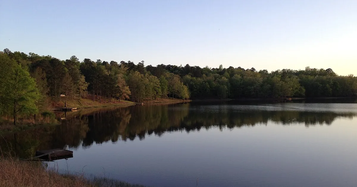 Holly Springs National Forest Trail