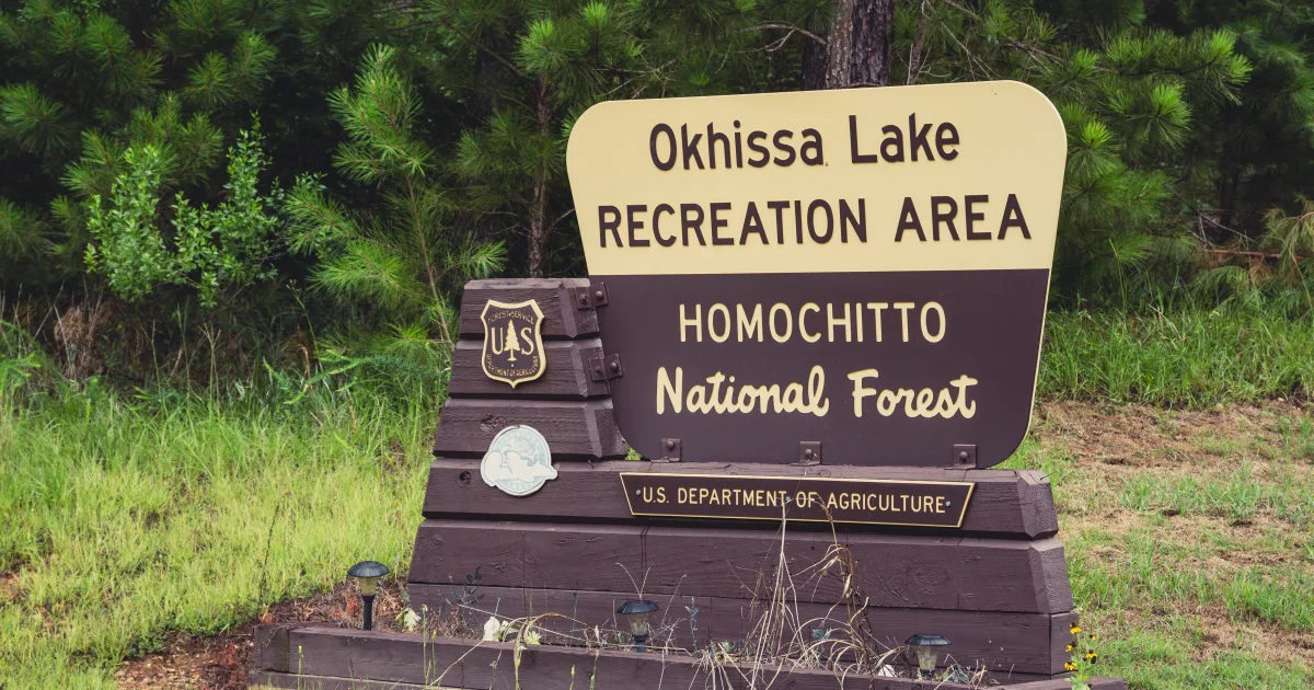 Homochitto National Forest Trail
